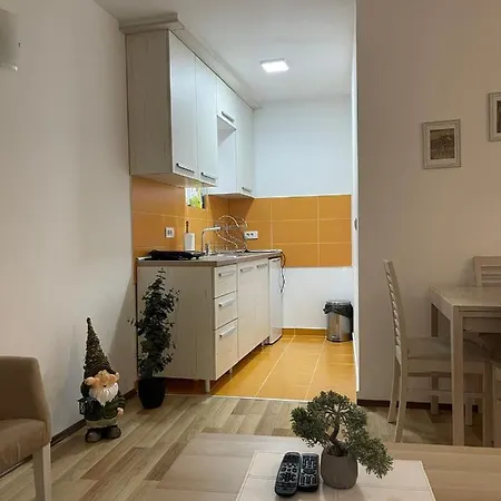 Apartment Stan Na Dan Centar